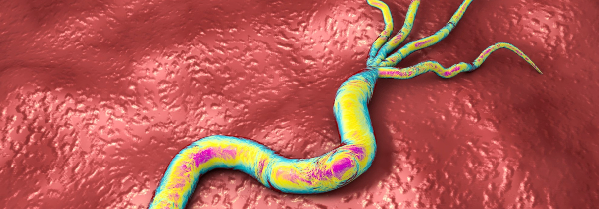 HELICOBACTER PYLORI: UN ENFOQUE INTEGRAL AL DIAGNÓSTICO Y DETECCIÓN CON EL TEST DE AIRE