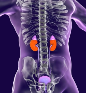 NEOPLASIA ENDOCRINA MÚLTIPLE (MEN): GUÍA COMPLETA SOBRE SÍNTOMAS, DIAGNÓSTICO Y TRATAMIENTOS AVANZADOS