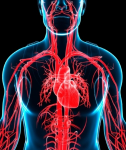 IMPACTO DE LAS ENFERMEDADES GENÉTICAS EN LA SALUD CARDIOVASCULAR: CAUSAS Y TRATAMIENTOS INNOVADORES